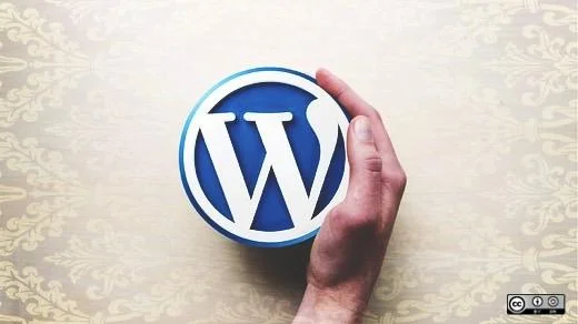 Wordpress development